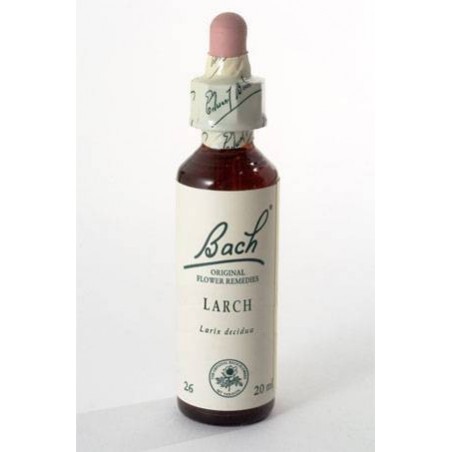 Schwabe Pharma Italia Larch Bach Orig 20 Ml