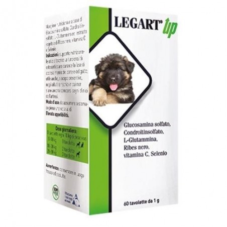 Aurora Biofarma Legart Up 120 Compresse