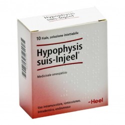 Guna Heel Hypophysis Suis...