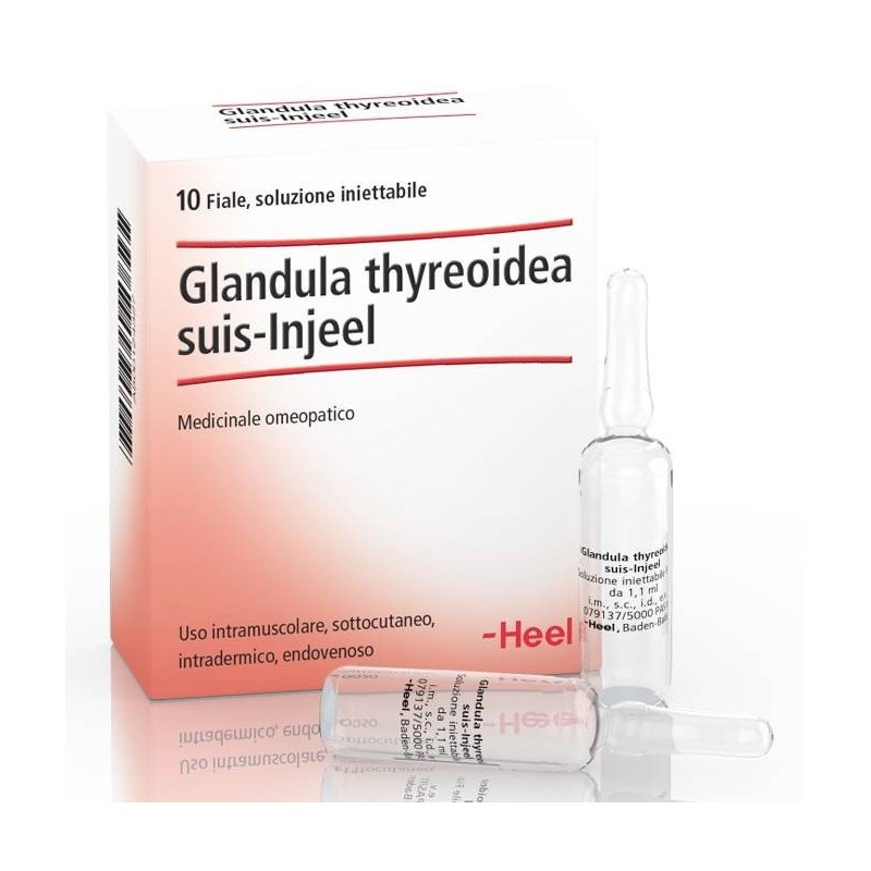 Guna Heel Glandula Thyroidea Suis Injeel 10 Fiale