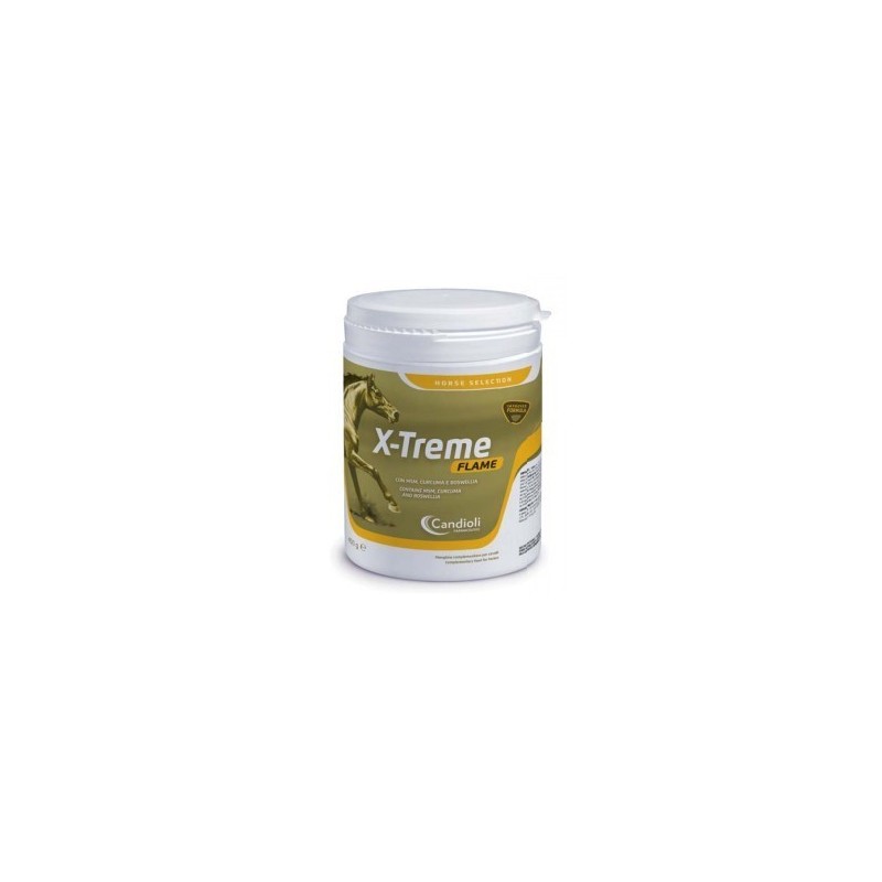 Candioli Ist. Profil. E Farm. X-treme Flame Polvere Barattolo 450 G