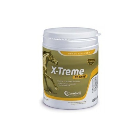 Candioli Ist. Profil. E Farm. X-treme Flame Polvere Barattolo 450 G