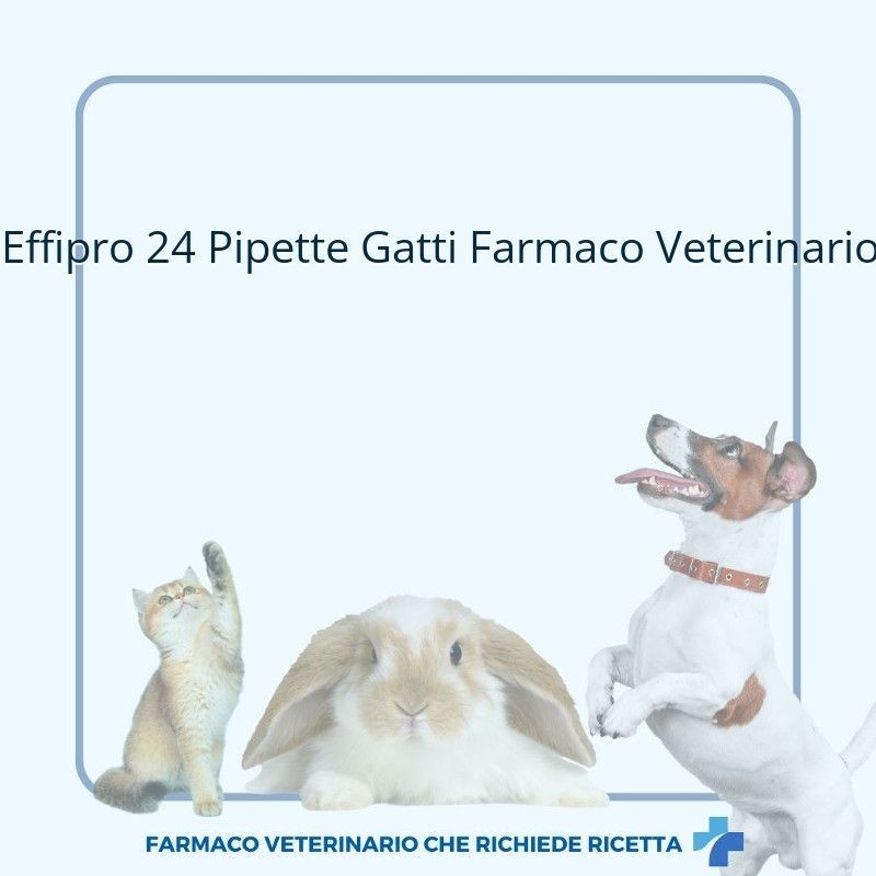 Virbac Effipro 50 Mg Soluzione Spot-on Per Gatti