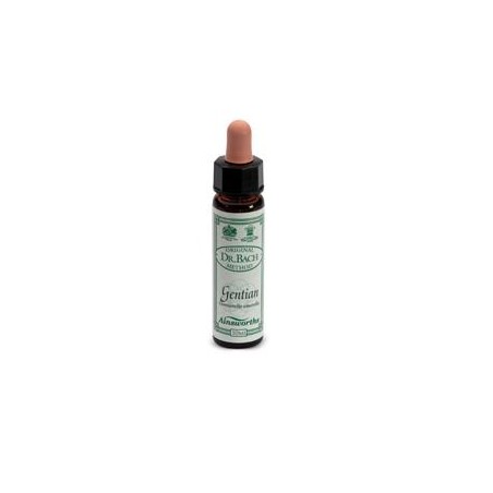 Santiveri Sa Ainsworths Gentian 10ml