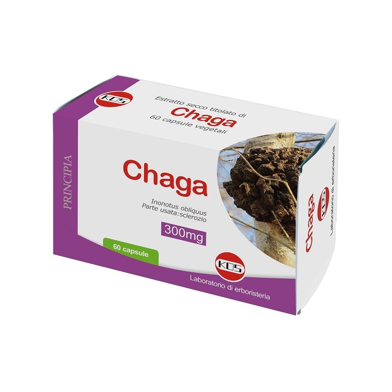 Kos Chaga Estratto Secco Titolato 60 Capsule Vegetali