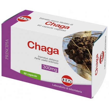 Kos Chaga Estratto Secco Titolato 60 Capsule Vegetali