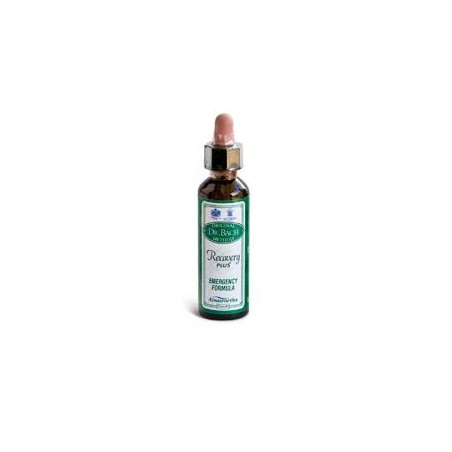 Santiveri Sa Ainsworths Recov Plus 20ml