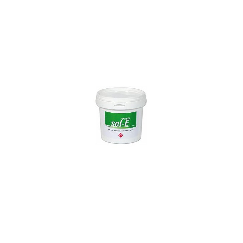 Fm Italia Group Sel E Powder Soluzione Orale 2kg