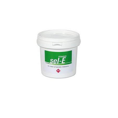 Fm Italia Group Sel E Powder Soluzione Orale 2kg