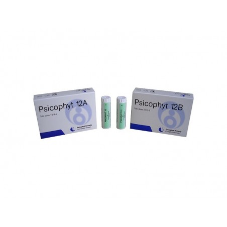 Biogroup Societa' Benefit Psicophyt Remedy 12b 4 Tubi 1,2 G