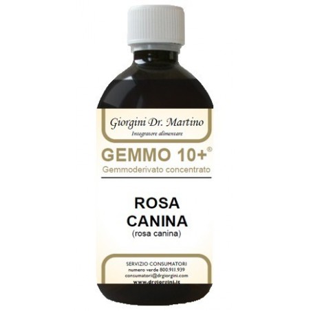 Dr. Giorgini Ser-vis Gemmo 10+ Rosa Canina Liquido Analcolico 500 Ml