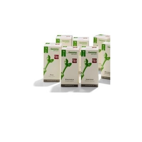 Fitomedical Giuggiolo Macerato Glicerico 100 Ml