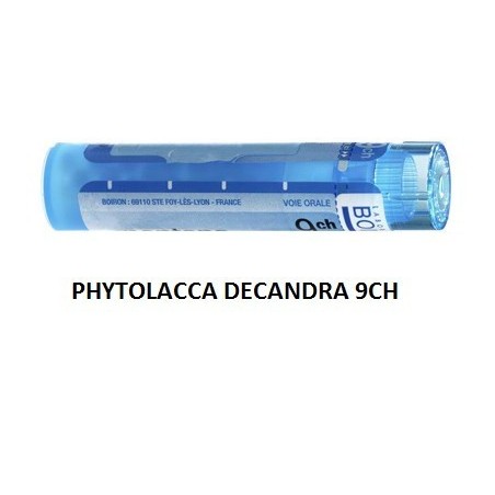 Boiron Phytolacca De Boi 9ch 80gr