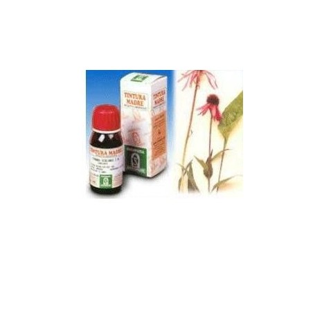 Specchiasol Echinacea 59 50ml Tm