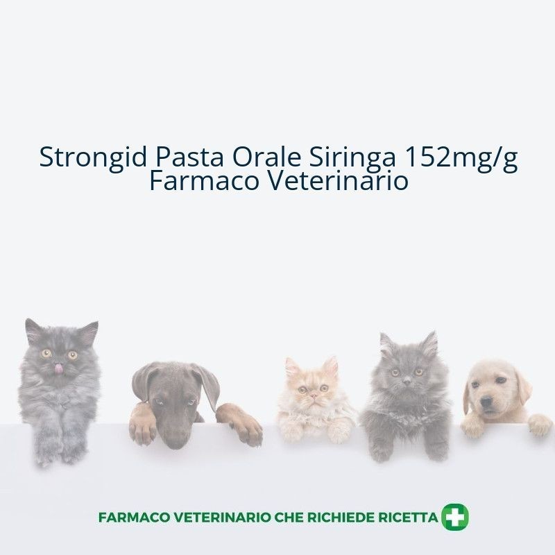 Four Pharma Cro Strongid 152 Mg/g Pasta Per Uso Orale Per Cavalli