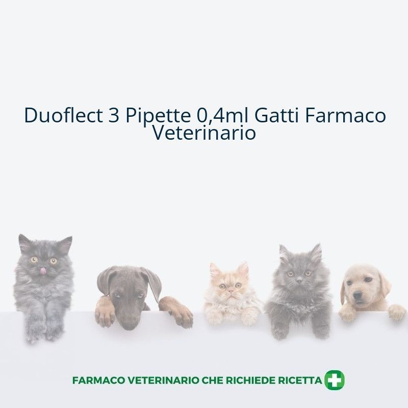 Ceva Salute Animale Duoflect Soluzione Spot-on Per Gatti Da 0,5-5 Kg