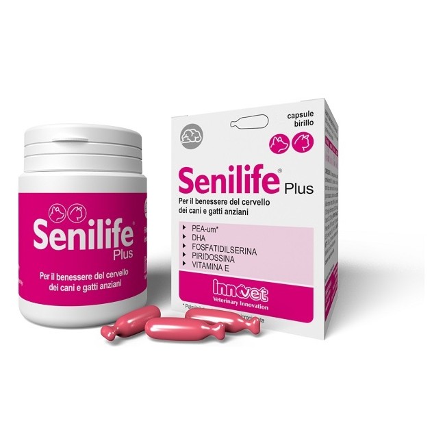 Innovet Senilife Plus 30 Capsule