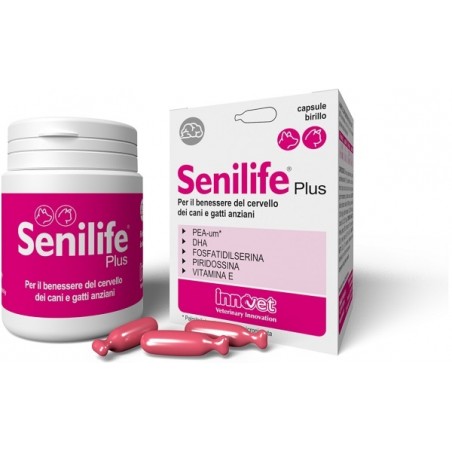 Innovet Senilife Plus 30 Capsule