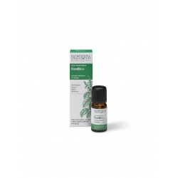 Nasoterapia Olio Essenziale Basilico Foglie 100% Puro e Naturale 10 ml Purifica e favorisce la digestione