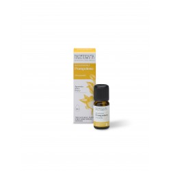 Nasoterapia Olio Essenziale Pompelmo Biologico 100% Puro Naturale 10 ml per stanchezza e stress