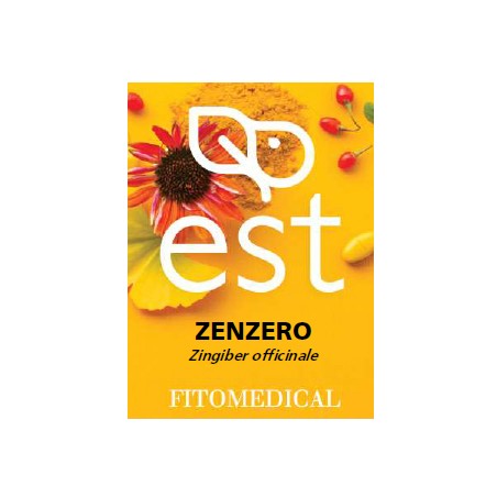 Fitomedical Zenzero Estratto Secco 60 Tavolette