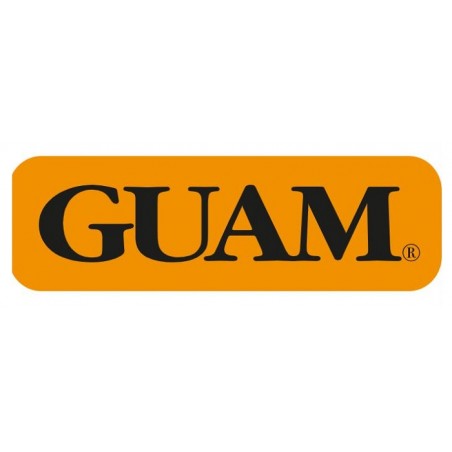 Guam Panty Ventre Piatto Snellente S-m 42-44