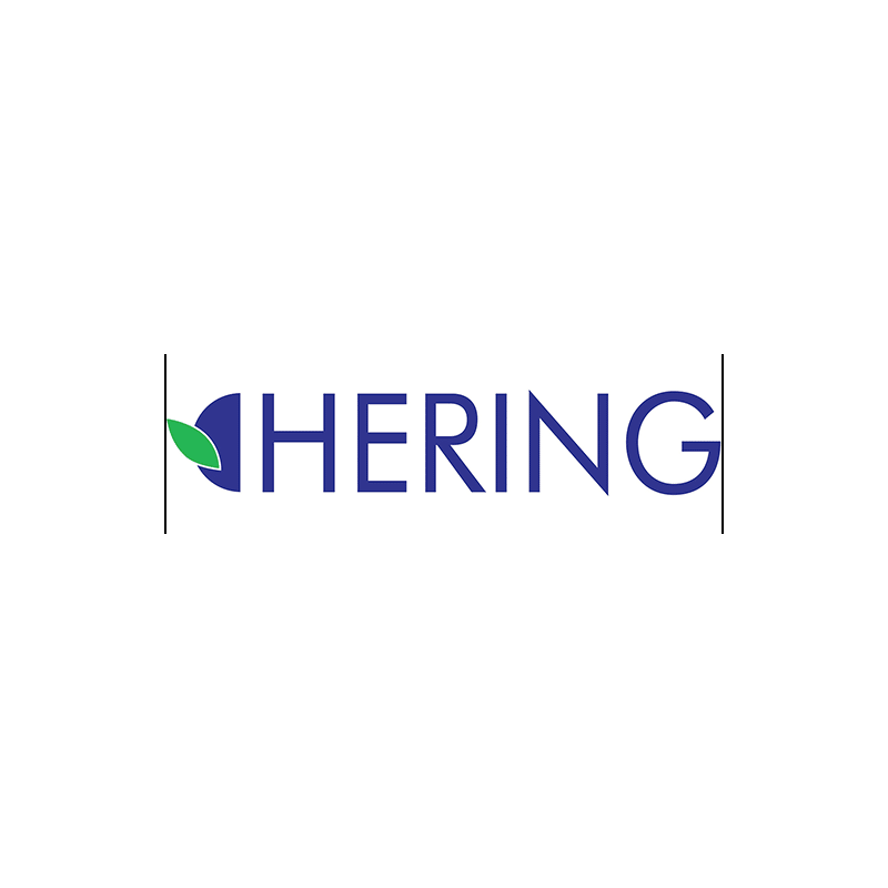 Hering Ledum Palustre 9ch 80gr 4g