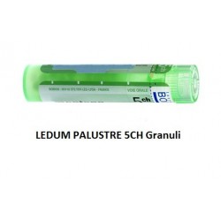 Boiron Ledum Palustre 5 Ch...