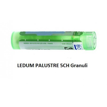 Boiron Ledum Palustre 5 Ch Granuli