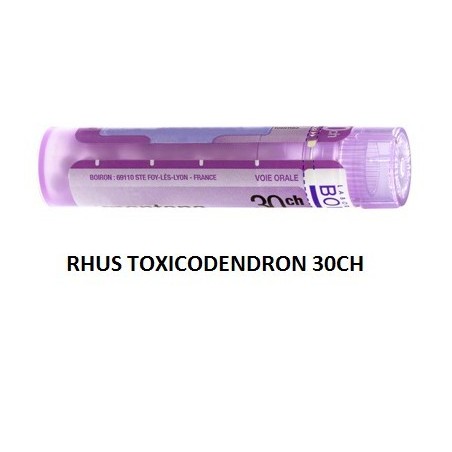 Boiron Rhus Toxicod Boi 30ch 80gr4g