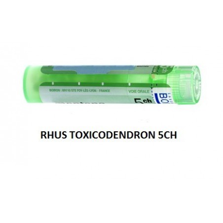 Boiron Rhus Toxicod Boi 5ch 80gr 4g