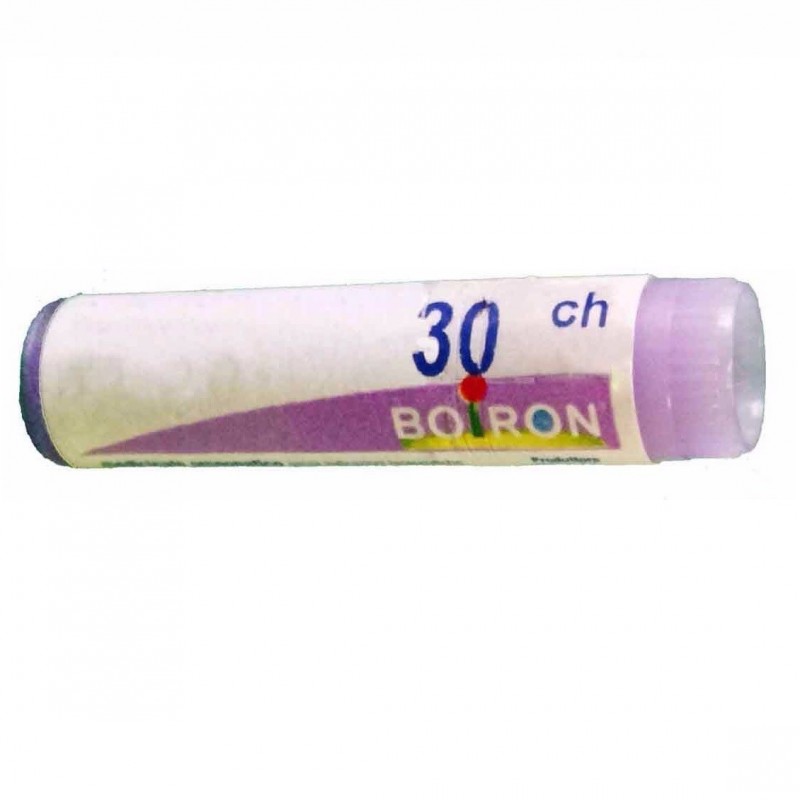 Boiron China Regia Boi 30ch Gl 1g