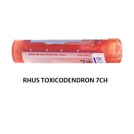 Boiron Rhus Toxicod Boi 7ch 80gr 4g