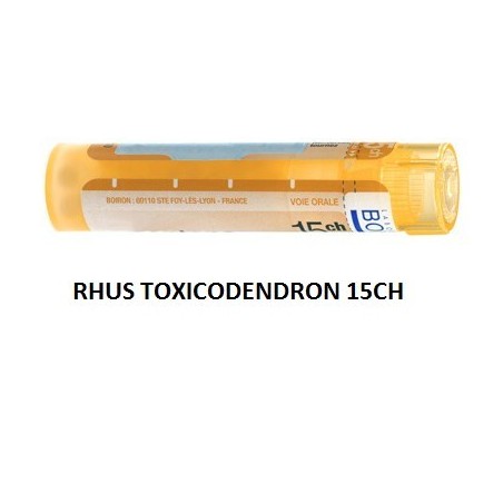 Boiron Rhus Toxicod Boi 15ch 80gr4g