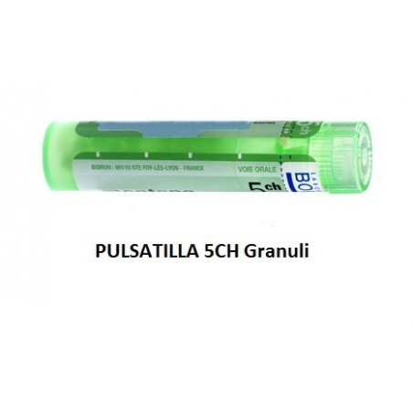 Boiron Pulsatilla Boi 5ch 80gr 4g