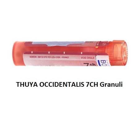 Boiron Thuya Occidentalis 7 Ch Granuli