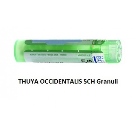 Boiron Thuya Occidentalis 5 Ch Granuli