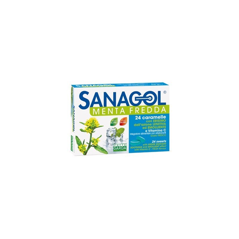 Named Sanagol Menta Fredda 24 Caramelle