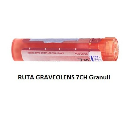 Boiron Ruta Grav Boi 7ch 80gr 4g