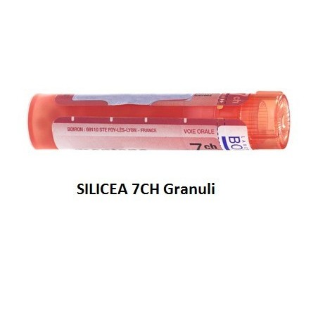 Boiron Silicea 7 Ch Granuli