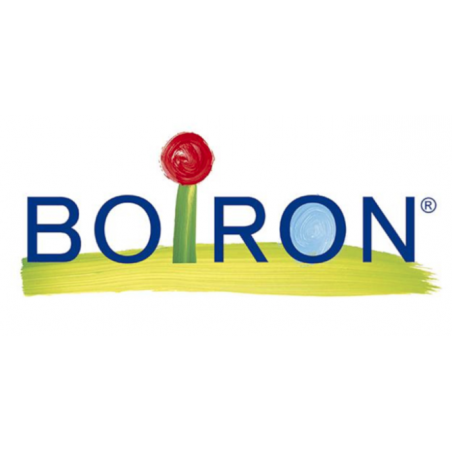 Boiron Natrum Mur Boi 10000k 80gr