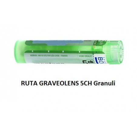 Boiron Ruta Grav Boi 5ch 80gr 4g