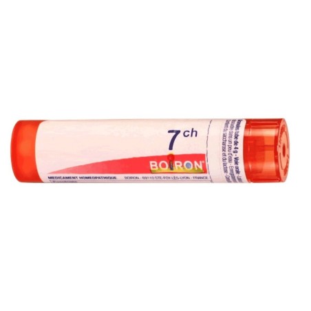 Boiron Arum Triphyl Boi 7ch 80gr 4g