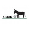 Odelfe