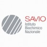 I. B. N. Savio